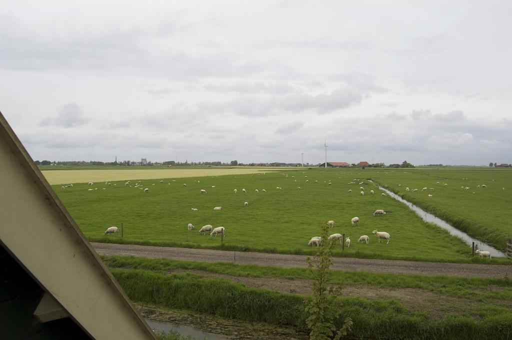 B&B En Vakantiehuisje Ursula Workum Eksteriør billede